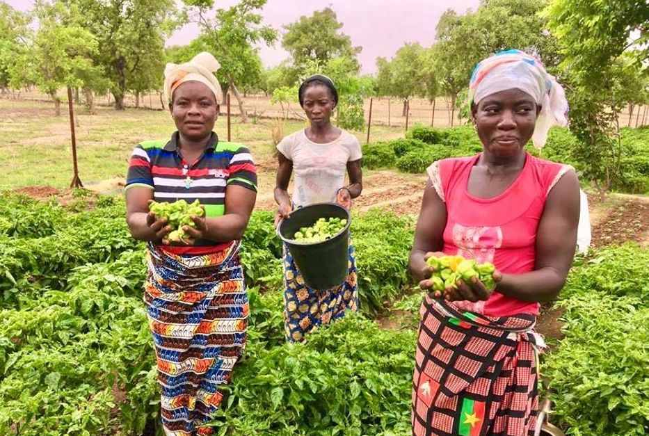 Comment S Appellent Les Habitants Du Burkina Faso Formidables nouvelles du Burkina Faso - Bonne Fabrique