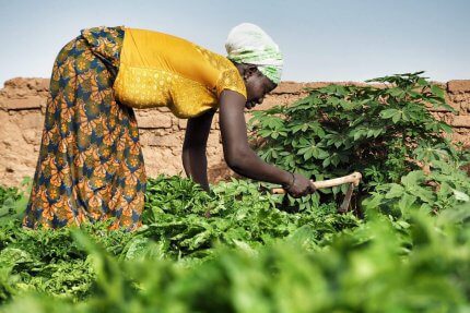 kobieta pracująca w ogrodzie w Burkina Faso