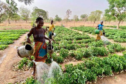 Nawadnianie ogrodu w Burkina Faso